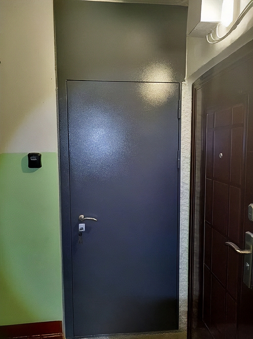 Дверь с глухой вставкой